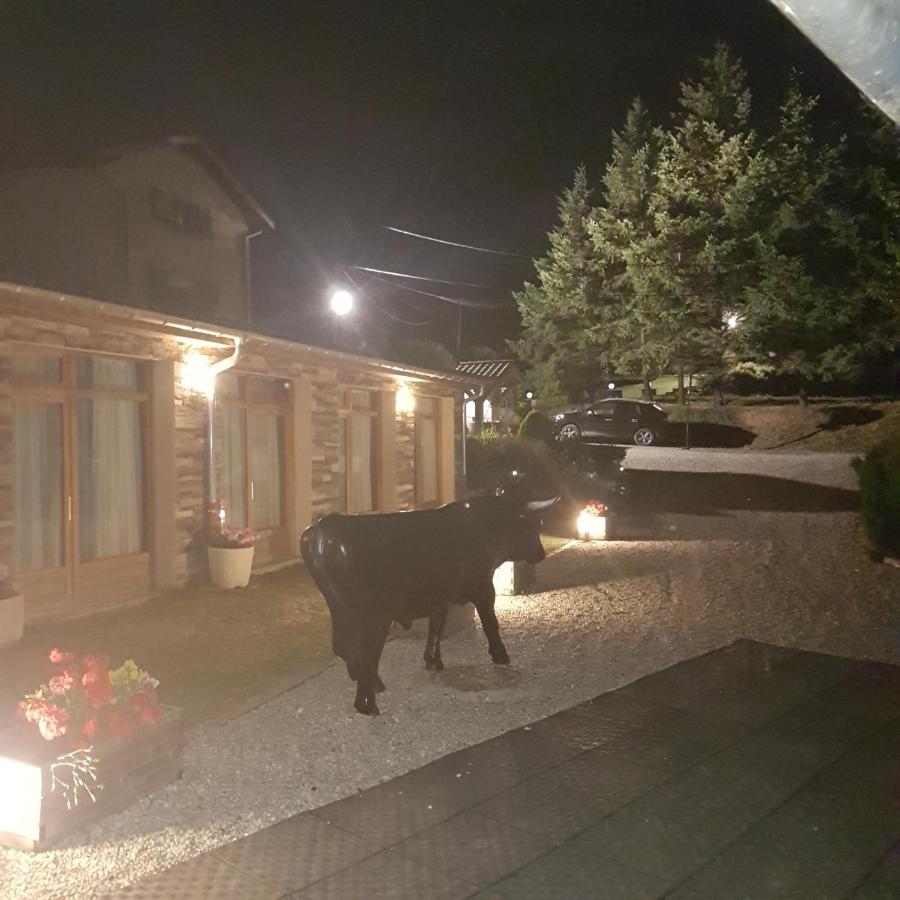 Gite De Prejeurin Echalas Екстер'єр фото